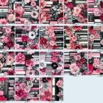 Books Fuchsia & Noir Blooms