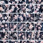 Rose & Shadow Forest Garden