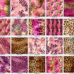 Pink Leopard