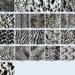 Animals Black and White