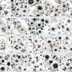 Flowers Black and White #2