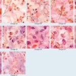 Fall Leaves powder pink