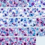 Winter Flowers lavender