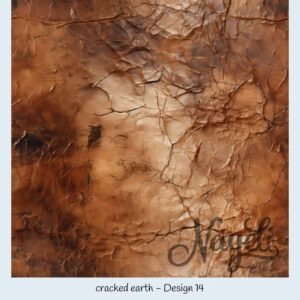 cracked earth – Bild 15
