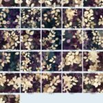 Desert & Dawn Watercolor Leaves