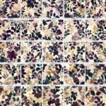 Desert & Dawn Whimsy