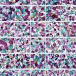 Orchid Sky Stained Leaves