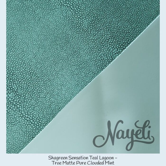 Shagreen Sensation VB – Bild 23