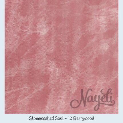 Studio Cut · Stonewashed Soul · 12 Berrywood