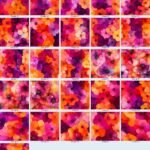 Flaming Sunset Flowers