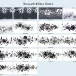 Bouquets Black Roses