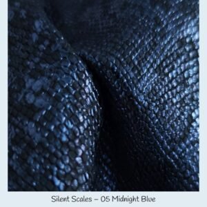 Silent Scales VB – Bild 6