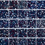 Midnight & Merlot Dotties