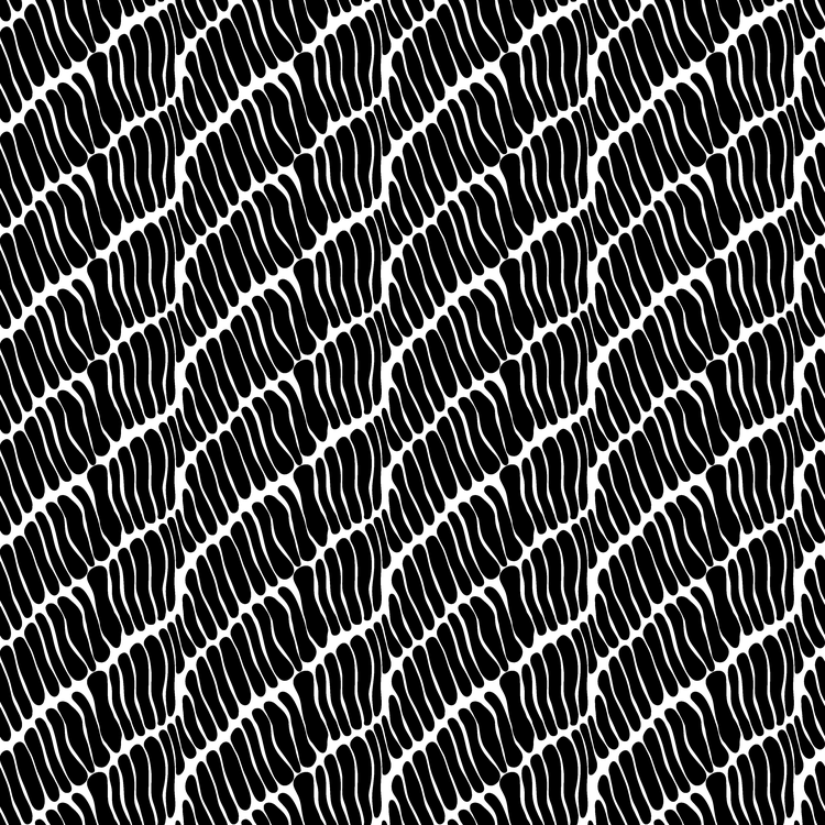 Zebra-Wellen
