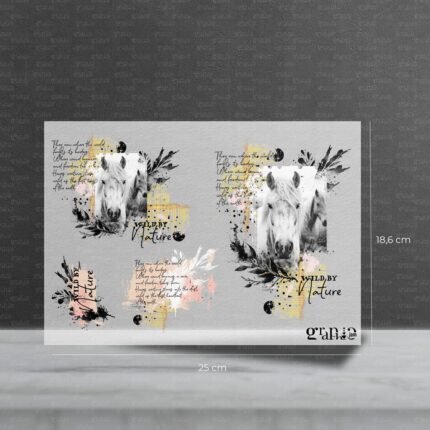 Bügelbild Set – Wild Horses | Pocket Stories - 25 x 18,6 cm